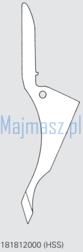 181812000 (HSS).png
