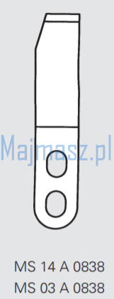 MS 03 A 0838.png