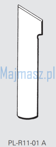 PL-R11-01 A.png