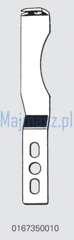 mai.jpg