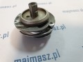 R186_Minerwa (1).jpg