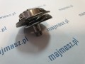 DZ_TEXT_ (1).jpg