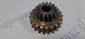 20220110_121136.jpg