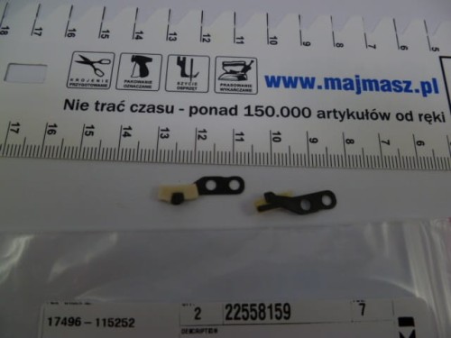 22558159.jpg