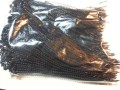 20150918_084716.jpg