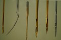 DSC04672.JPG