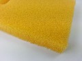SF25_00059_00060_00061 (3).jpg