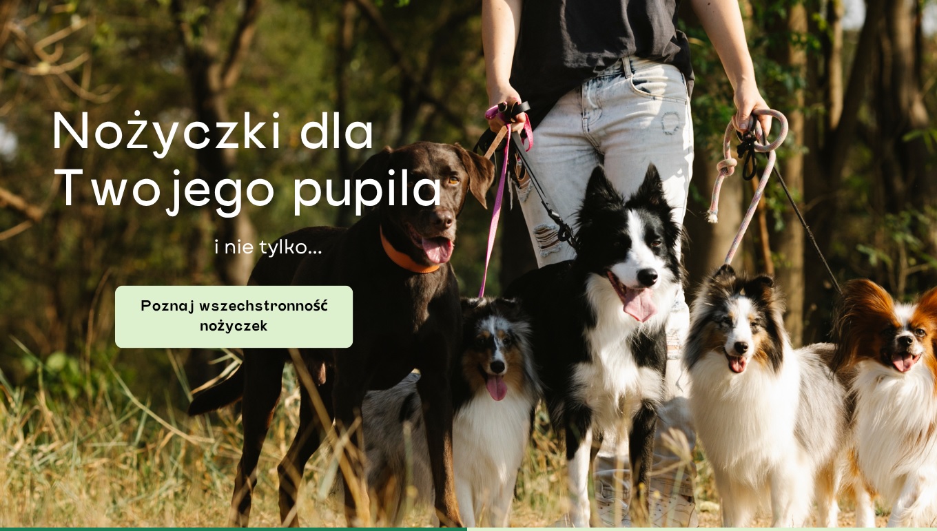 Nożyczki dla pupila